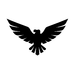Eagles Business Consultants